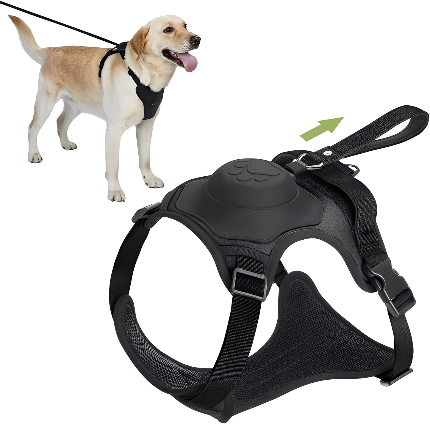 FREE Dog Harness And Retractable Leash Set
